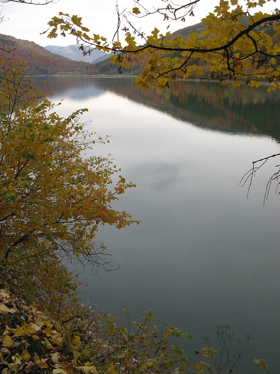 Теребле-Ріцьке водосховище