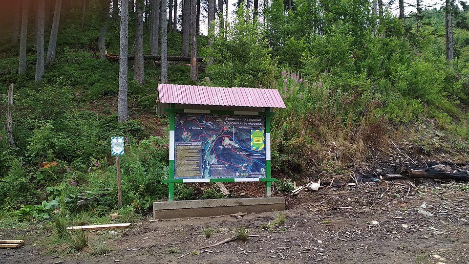 Траверс хр. Ґорґан
