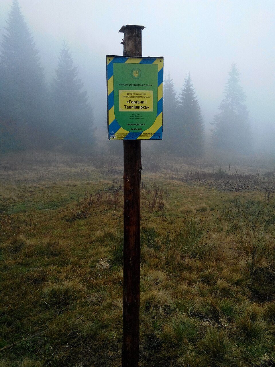 Траверс хр. Ґорґан