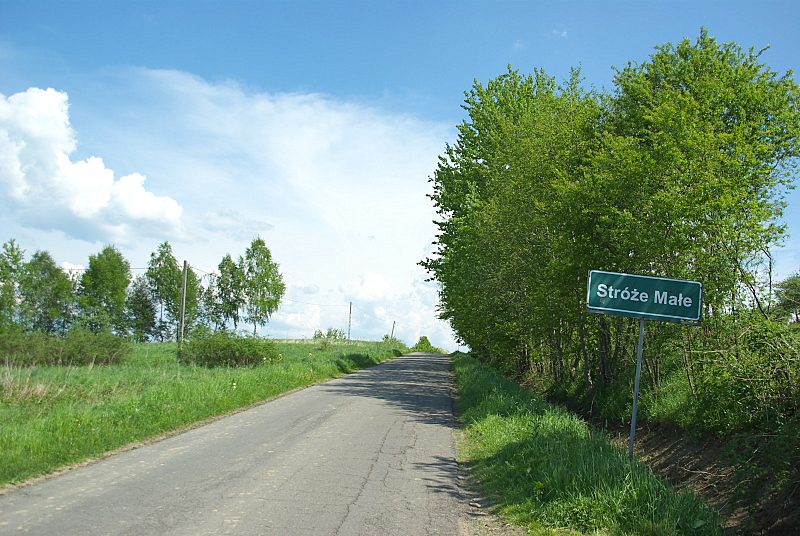 Sanok - Chryszczata