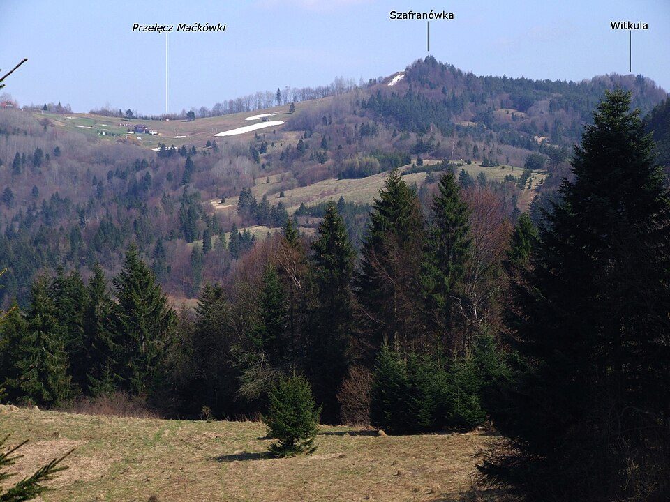 Witkula
