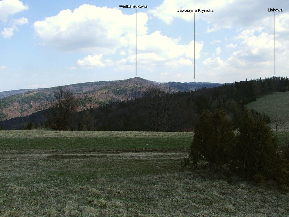 Wielka Bukowa