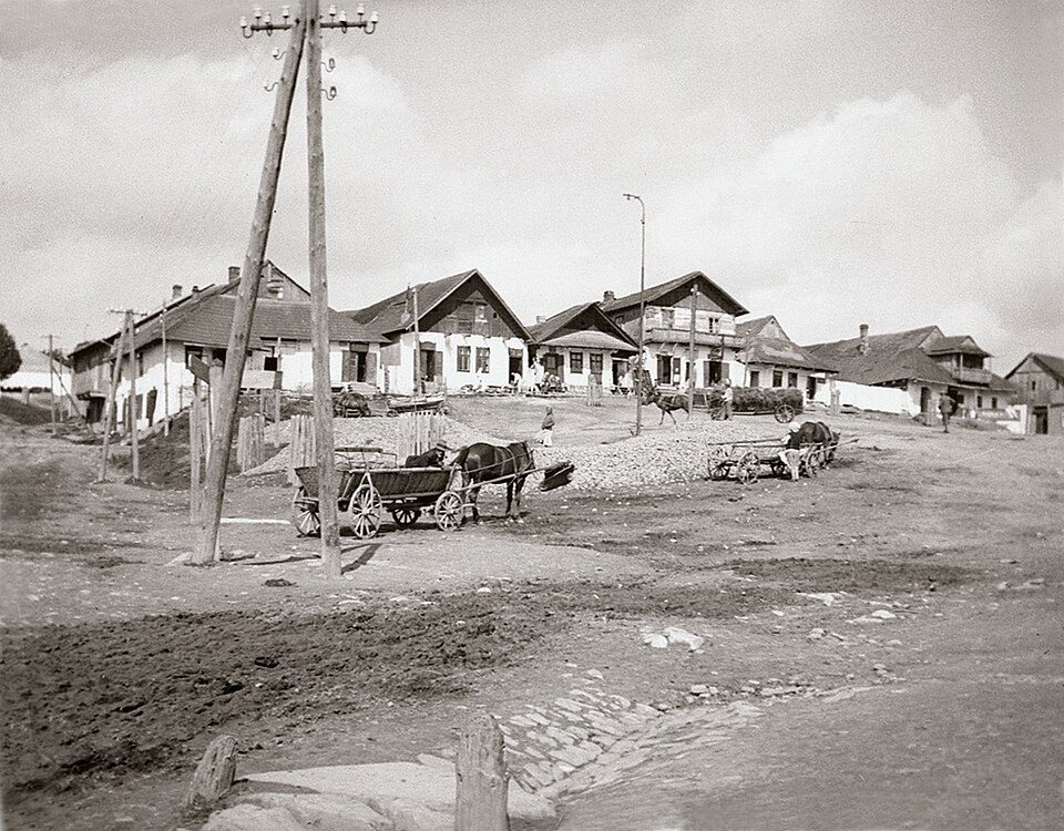 Lutowiska - Chata Socjologa