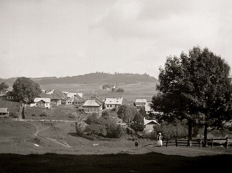 Lutowiska - Chata Socjologa