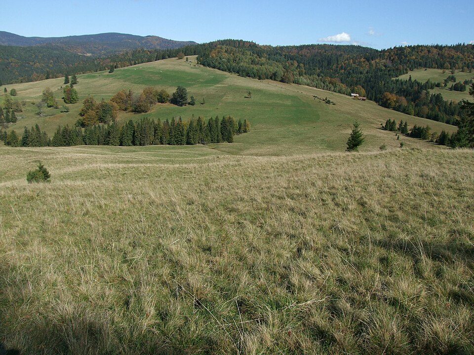Piwniczna-Zdrój - Jaworki
