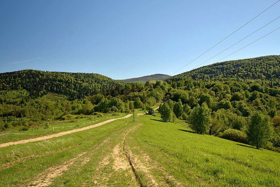 Ścieżka Rajskie - Trywolne - Krywe