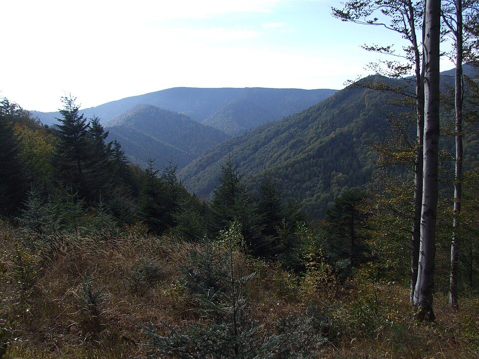 Rytro-Przehyba