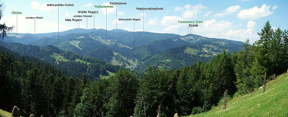 Miedzyradziejówki
