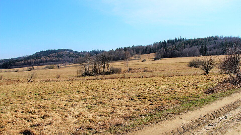 Ołowiana