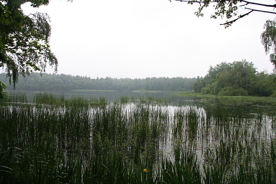 Rundwanderweg Waldhaus / Ebersbrunner Wald