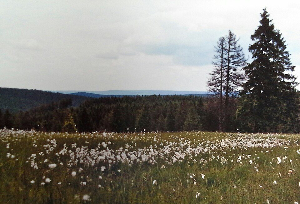 Der Panoramaweg durch Breitenbrunn