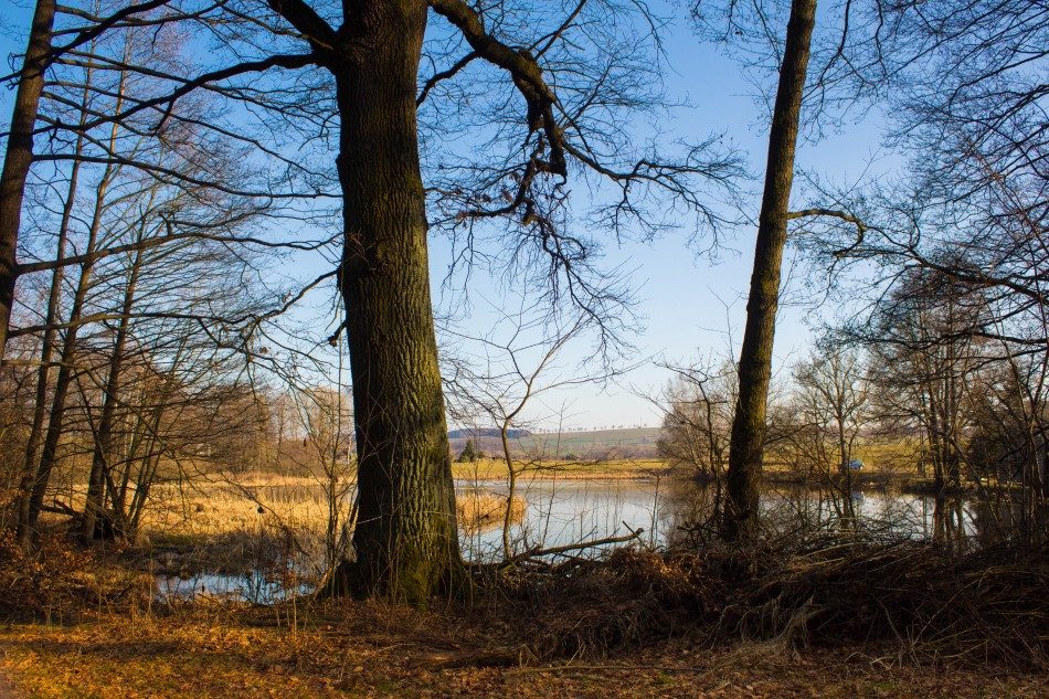Rundweg Skiareal