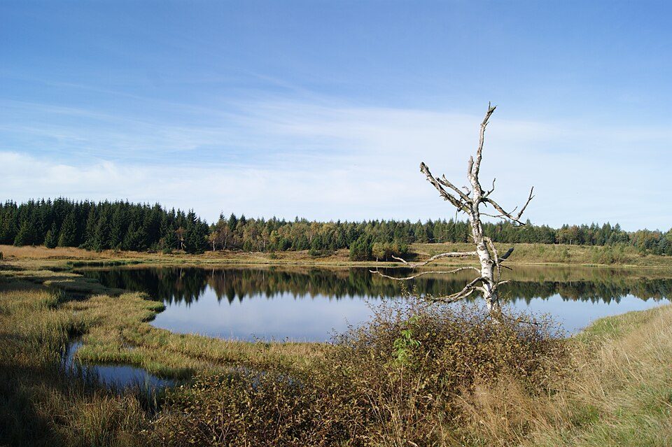 Rund um Rübenau