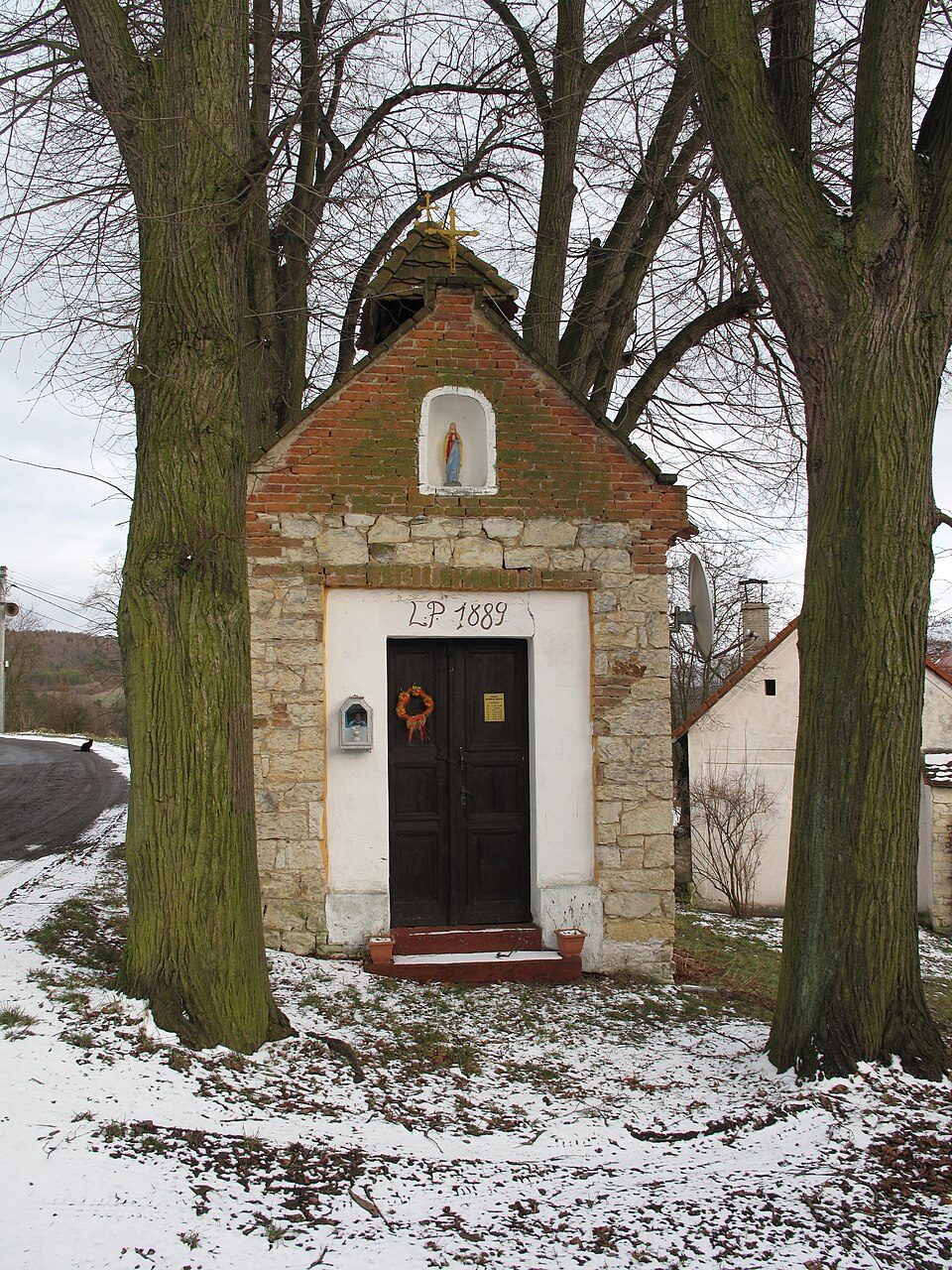 NS Kalivodské bučiny