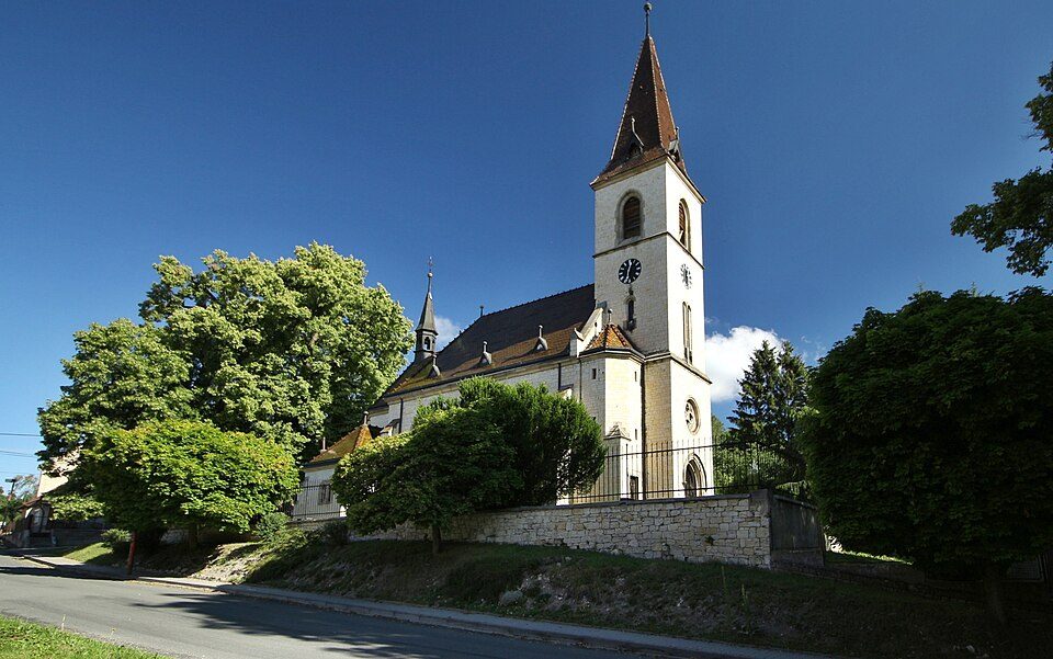 NS Kalivodské bučiny