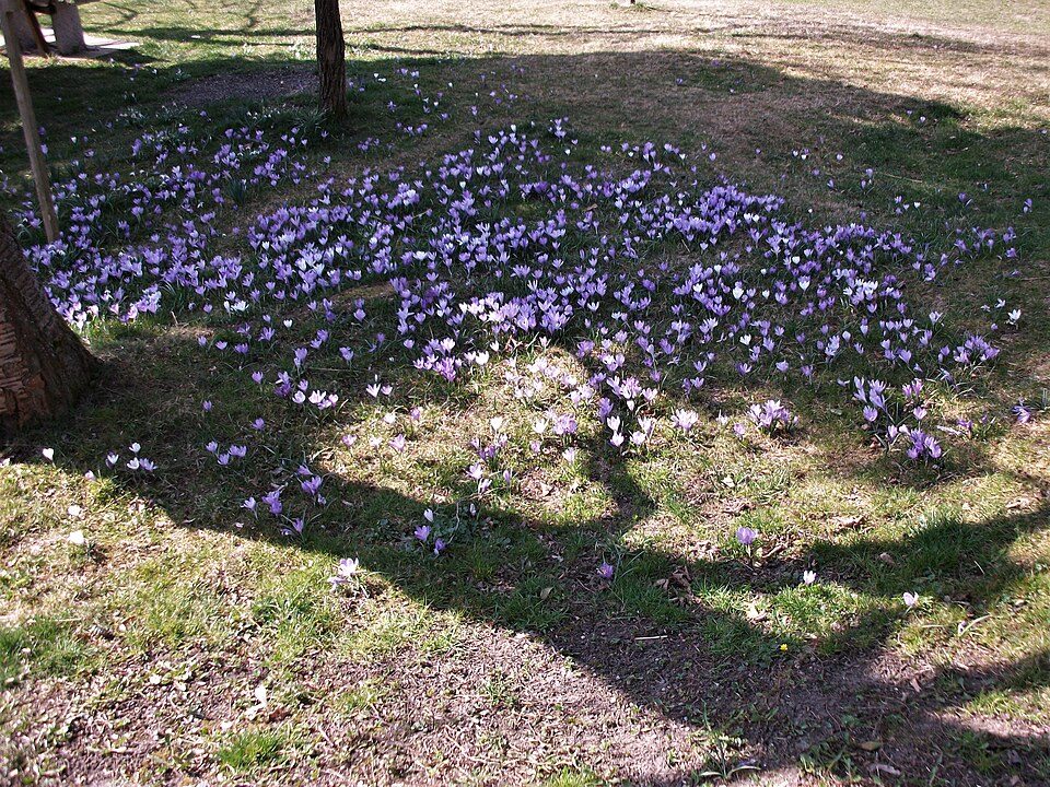 Zschopauhöhenweg