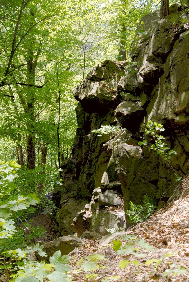 Prinzenhöhle