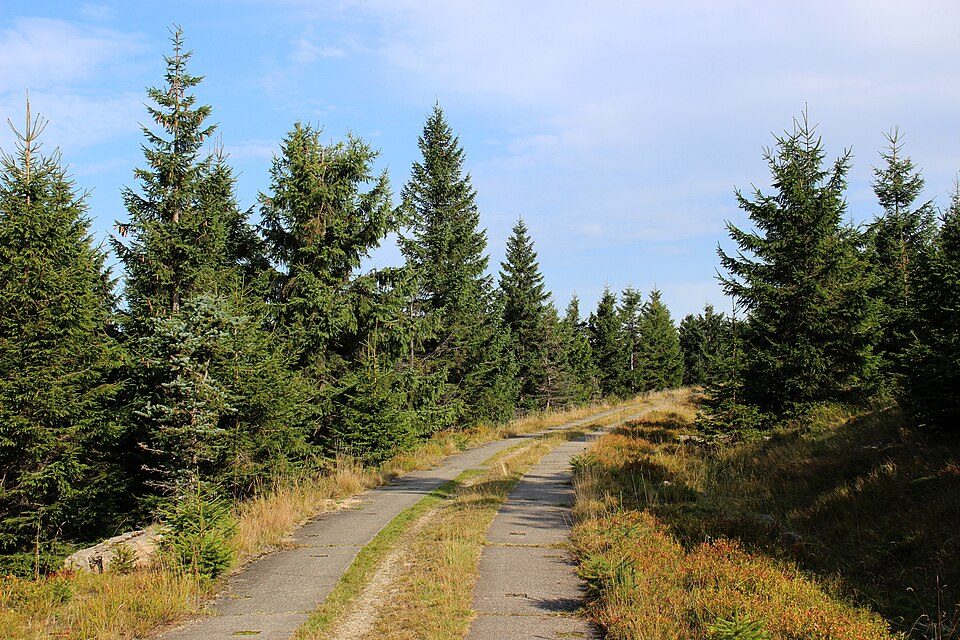 Smědavská hora