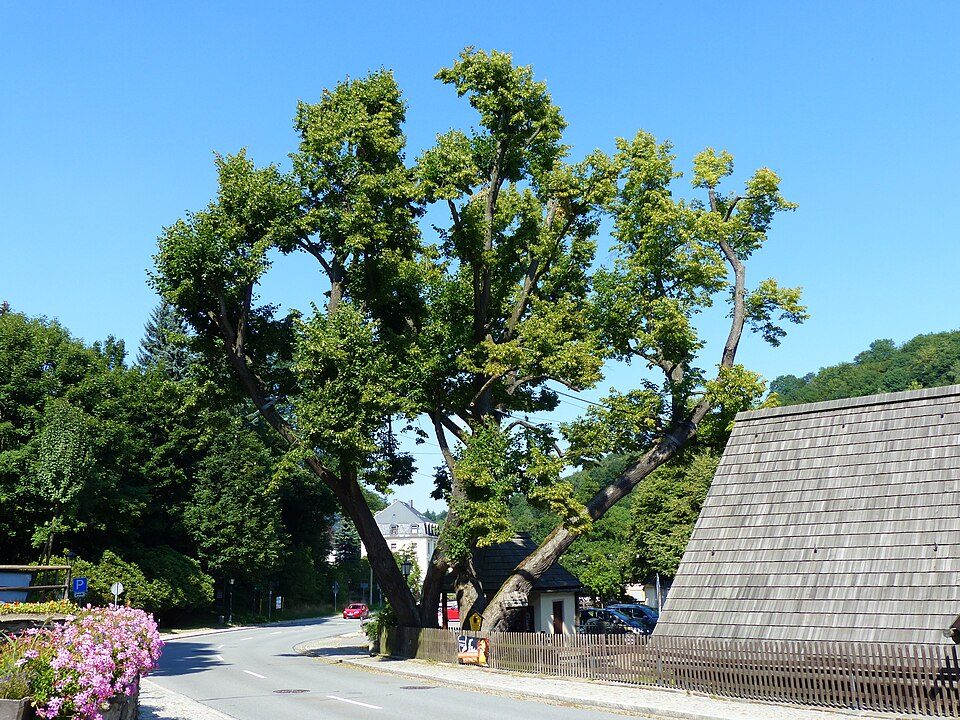 Bergbaulehrpfad am Flößgraben entlang