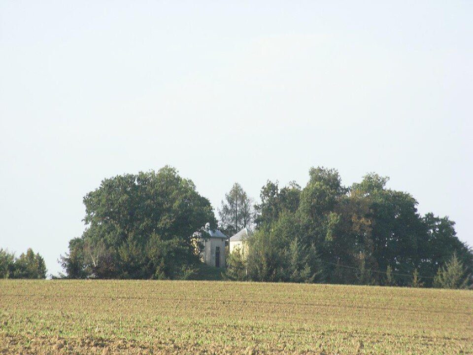 WW Steinpleis - Burg Schönfels