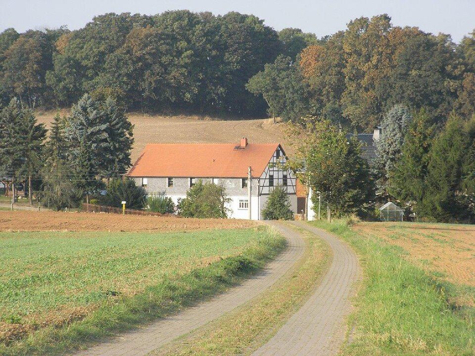 WW Steinpleis - Burg Schönfels