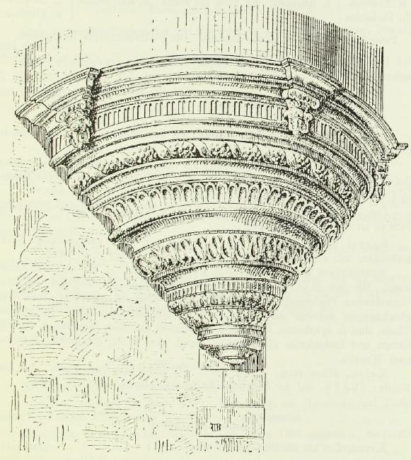 WW Steinpleis - Burg Schönfels