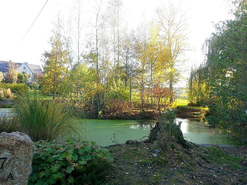 Wasserburg Ebersbrunn