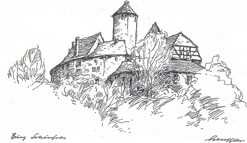WW Steinpleis - Burg Schönfels
