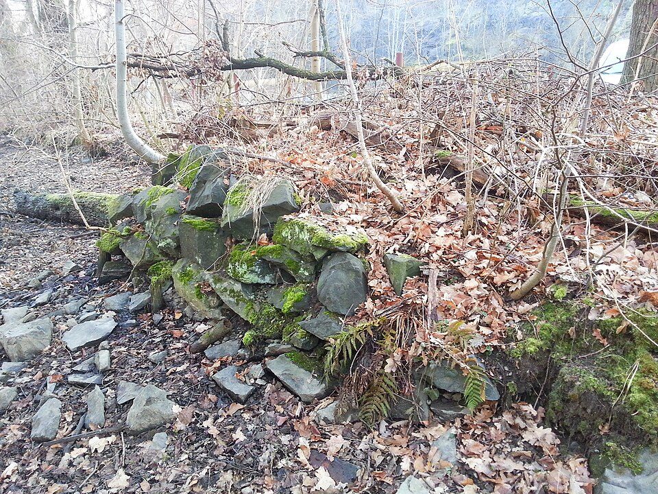 WW Steinpleis - Burg Schönfels