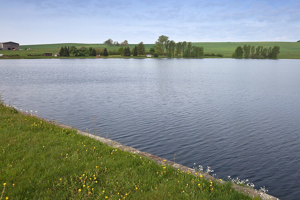 Mittlerer Großhartmannsdorfer Teich