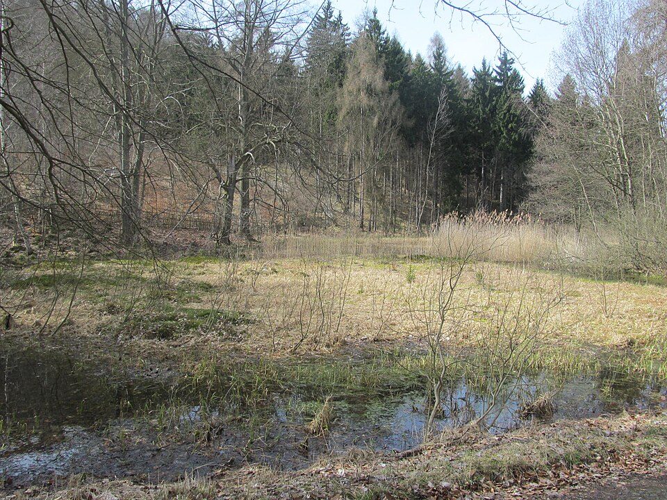 Březina