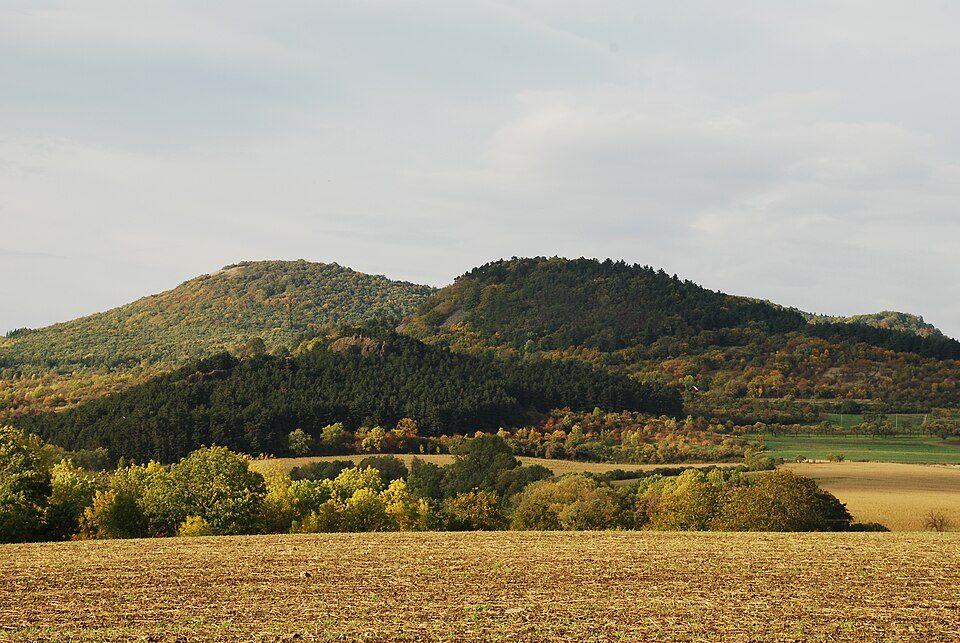 Kuzov