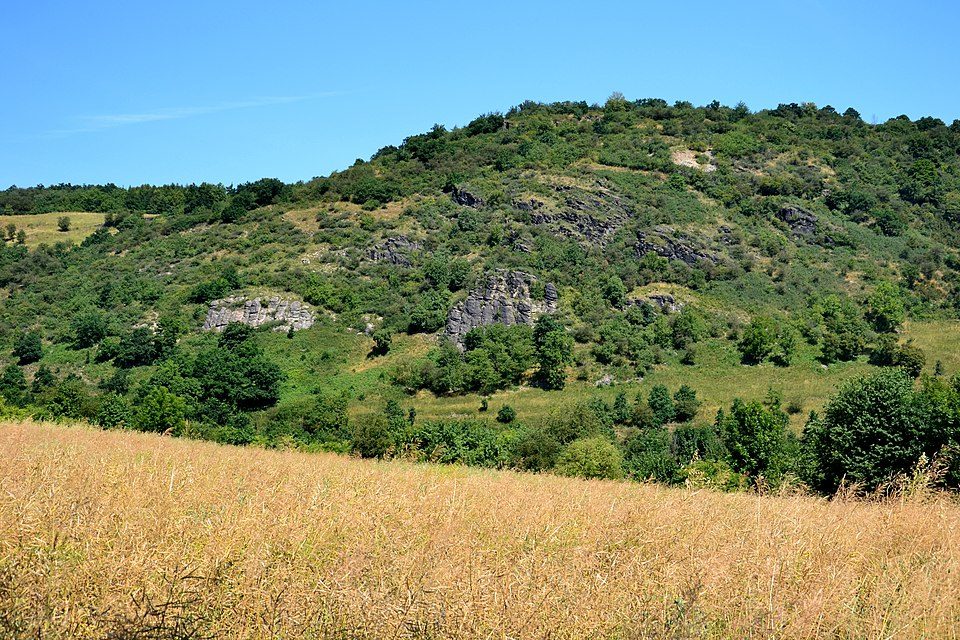 Rač