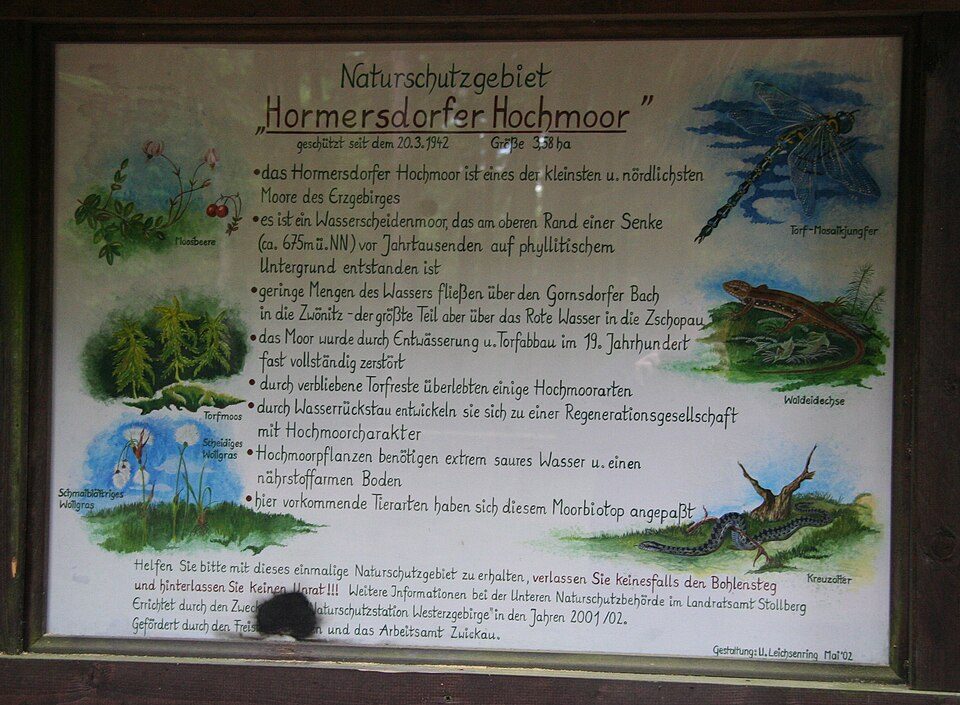 Geyerscher Wald - Dorfchemnitz - Meinersdorf
