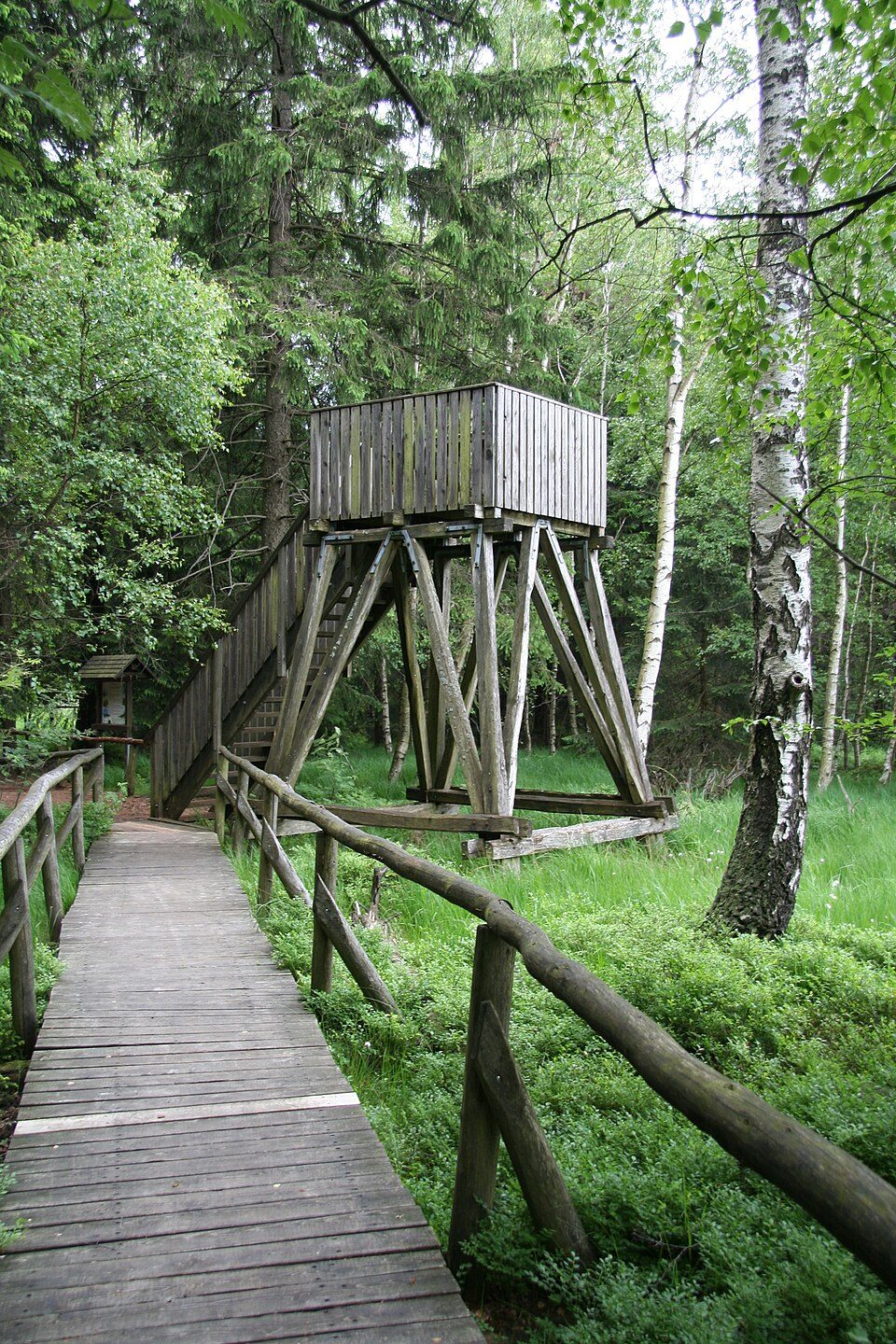 Geyerscher Wald - Dorfchemnitz - Meinersdorf