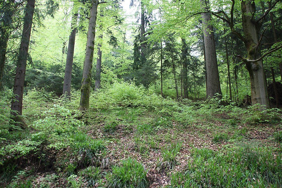 Ww Rechenhaus-Albernau-Neidhardtsthal-Eibenstock-Rautenkranz