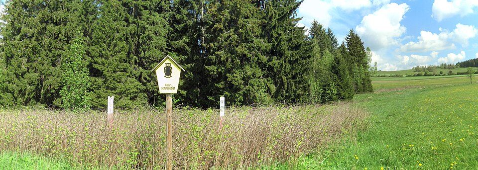 Wanderweg Historische Ski - Erweiterung 1