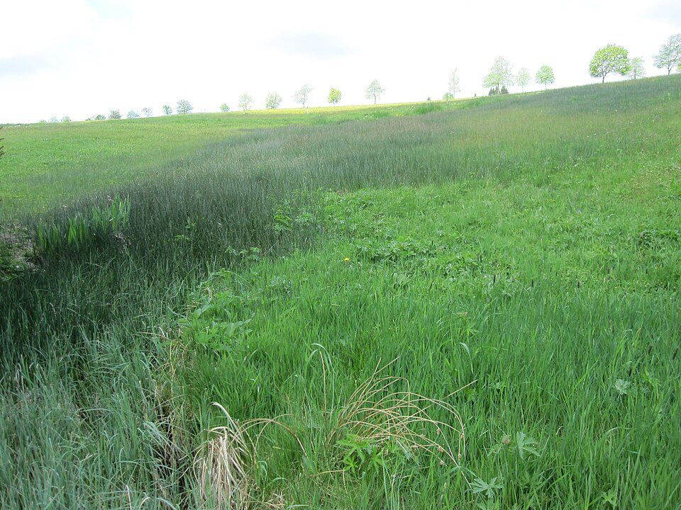 Ww Schönheide Süd - Schönheide West