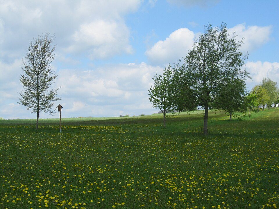 Wanderweg Historische Ski - Erweiterung 2