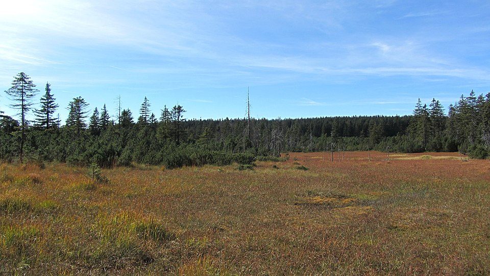 Bergbaulehrpfad (Carlsfeld)