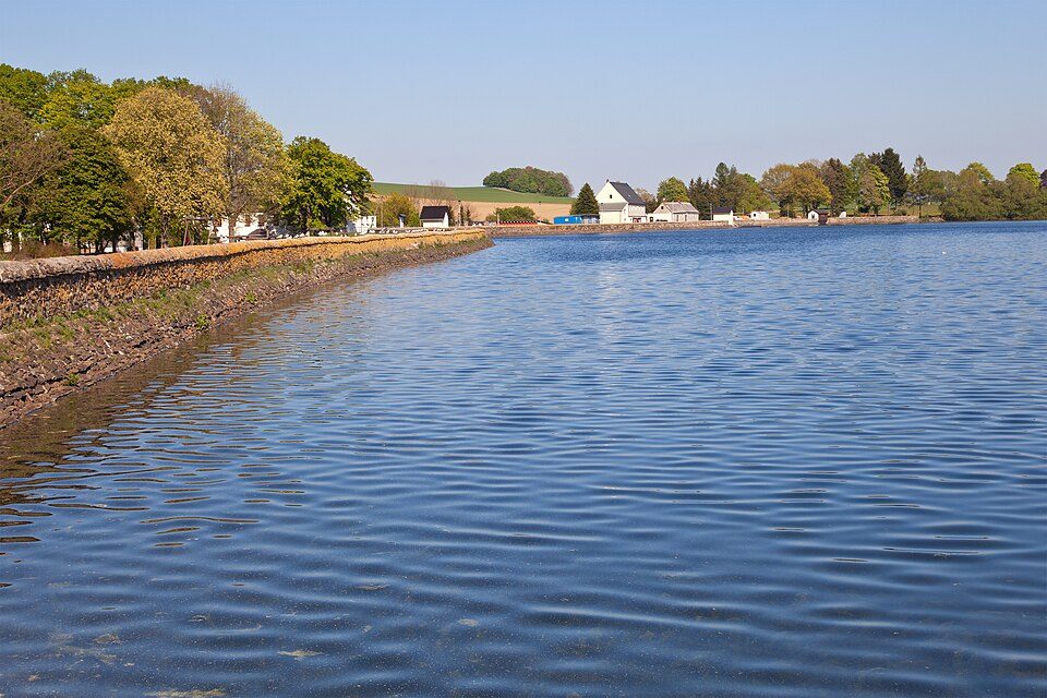 Unterer Großhartmannsdorfer Teich