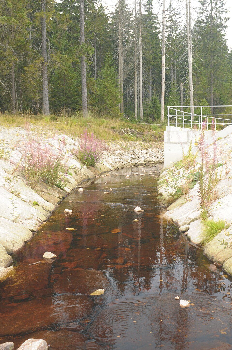 Auf Bergmanns Spuren rund um Carlsfeld