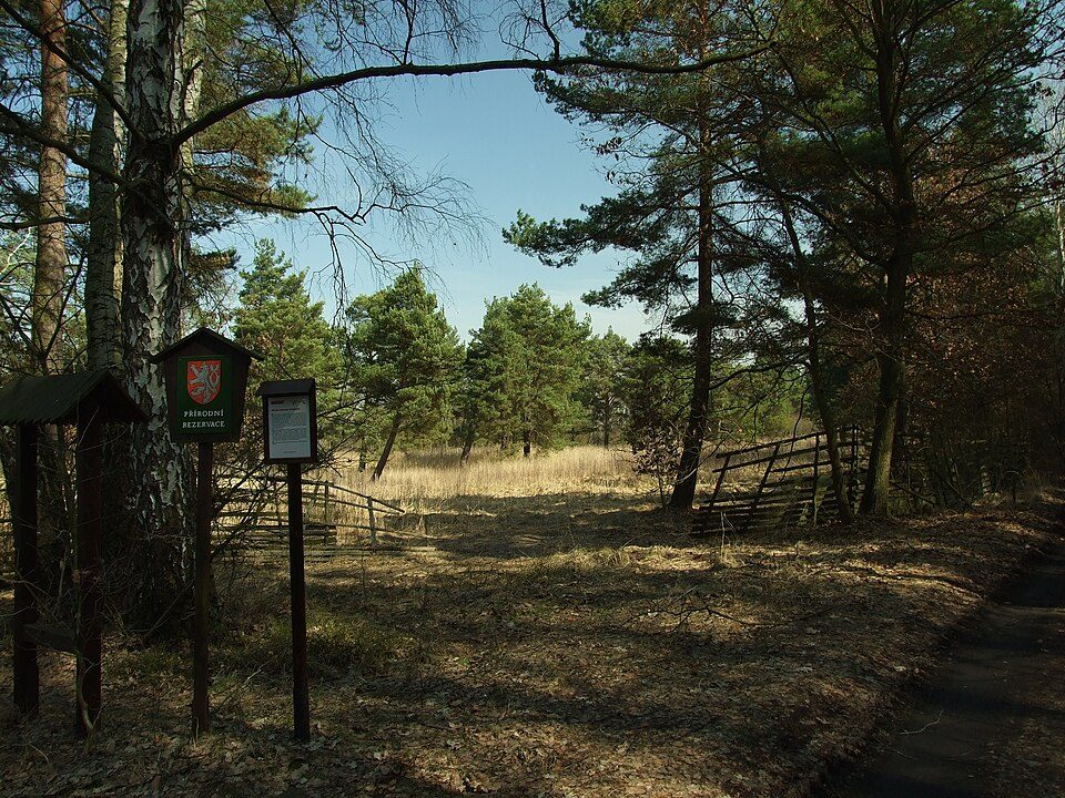 přírodní rezervace V Bahnách