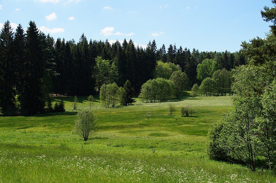 Wanderweg Erzgebirge-Vogtland (Oelsnitz-Talsperre Eibenstock)
