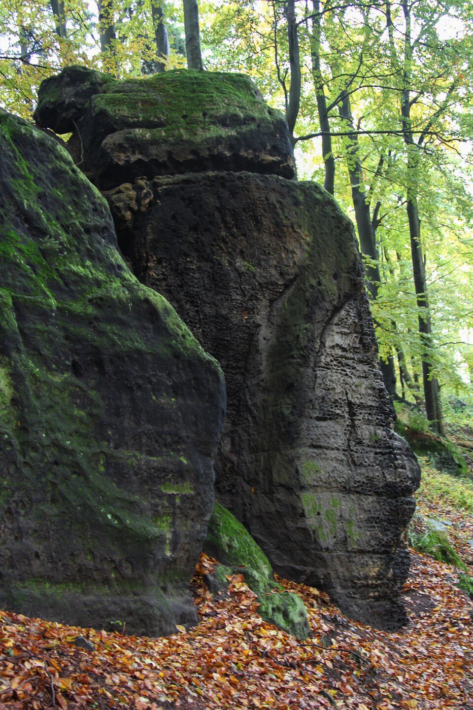 NS Růžová