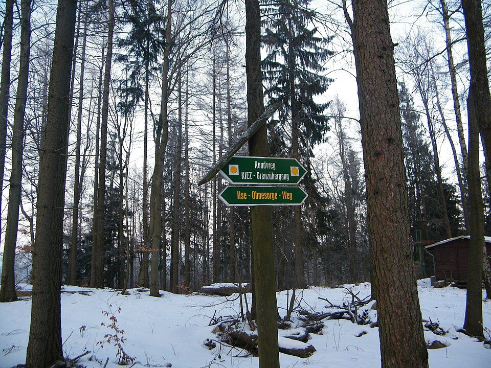 Grüner Punkt, Sebnitzer Wald