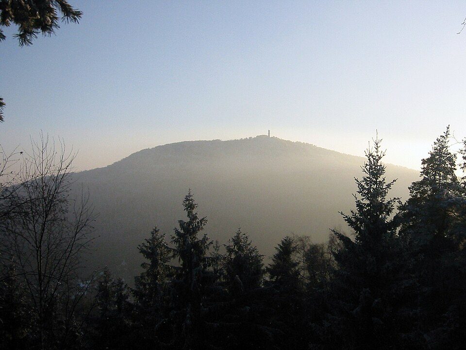 Wald-Lehrpfad Alte Leipaer Straße