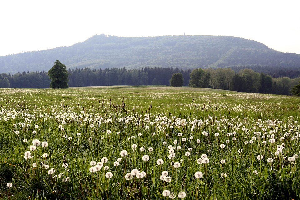 Zittau - Hochwald (grüner Strich)
