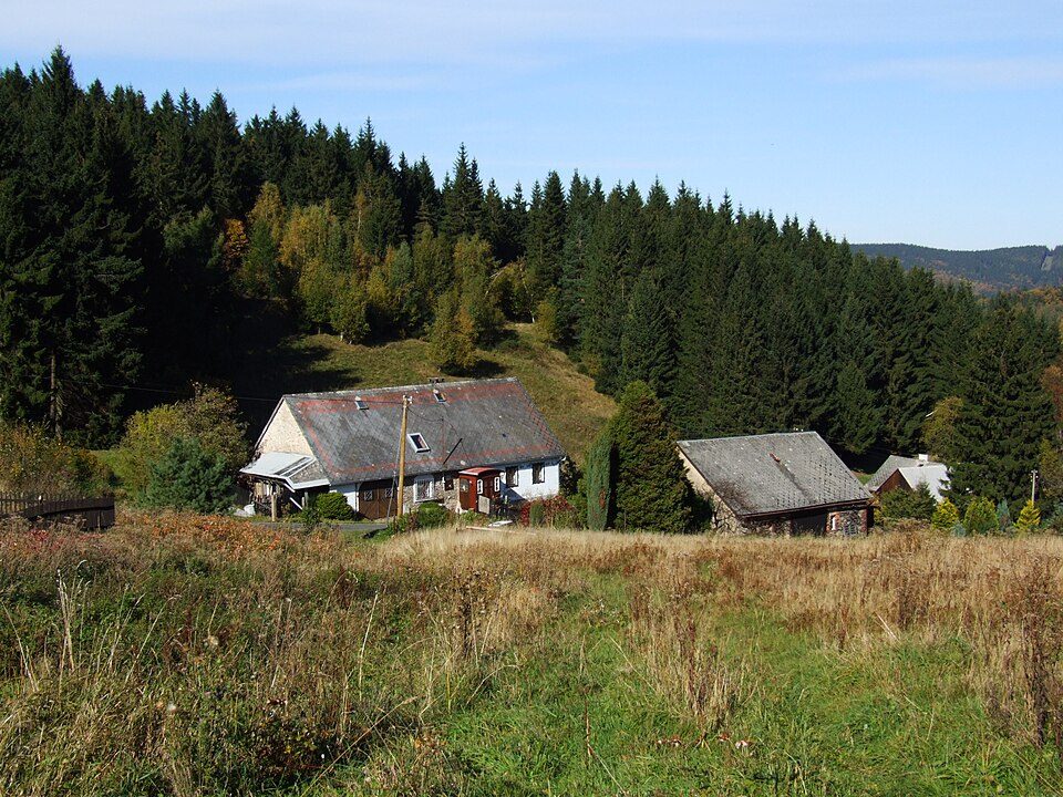 Ścieżka spacerowa żółta