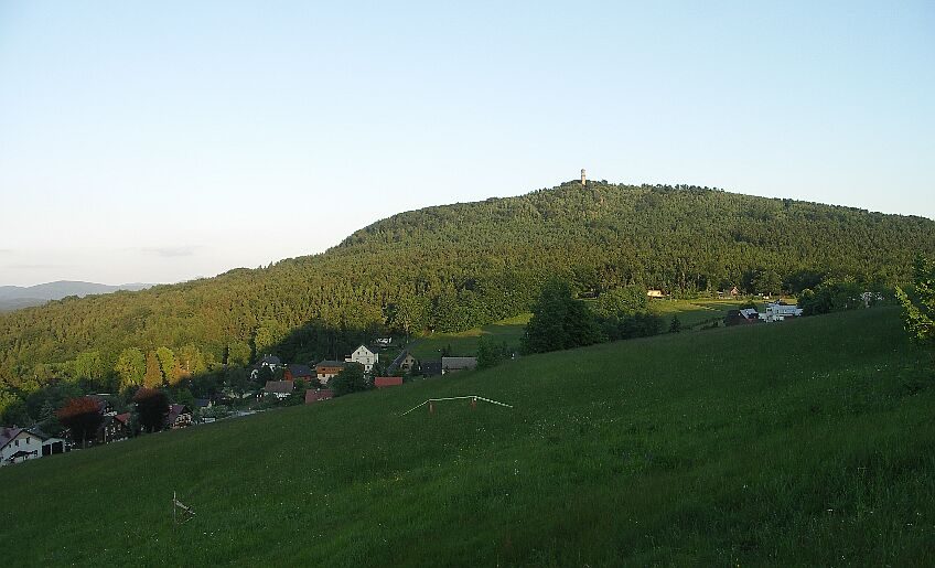 Hain - Hochwald (gelber Punkt)